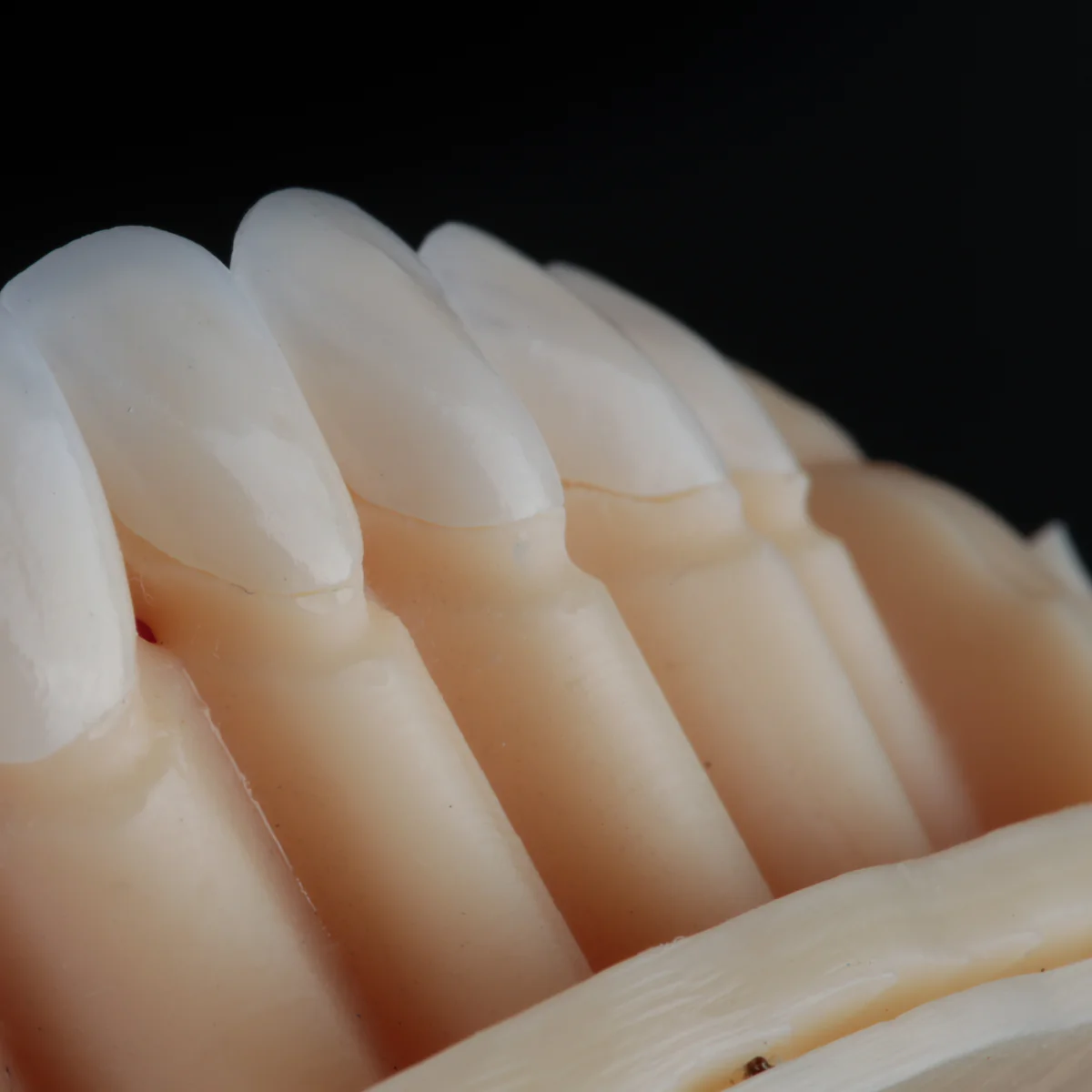 Prizma 3d Resin Bio Crown Diamond - 300gr